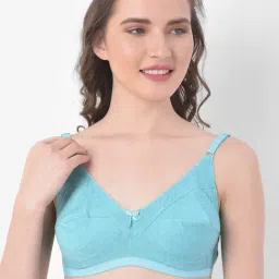 Clovia Blue Non Wired Non Padded Full Coverage Bra-image-67