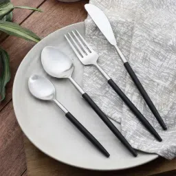 VarEesha Radiant Silver & Black Stainless Steel Cutlery - Set of 4-10