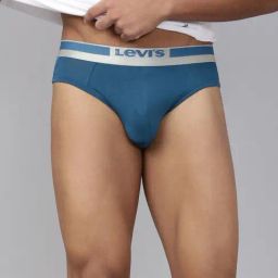 Levi's Blue Cotton Regular Fit Briefs-image-49