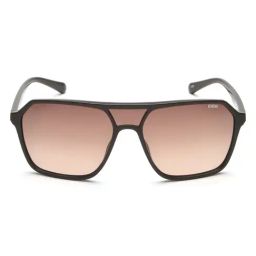IDEE Brown Square UV Protection Sunglasses for Men-picture-22