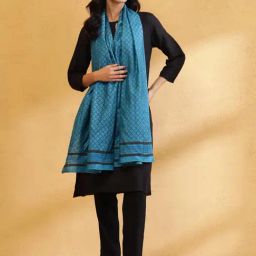 Fabindia Teal Printed Stole-20