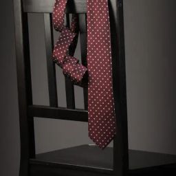 Louis Philippe Maroon Polyester Tie-36