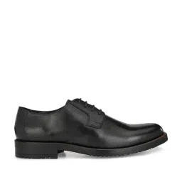 Carlo Romano Men's Black Derby Shoes-picture-45