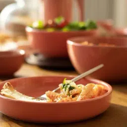 Ellementry Rustic Reef Rust Ceramic Pasta Bowl-41