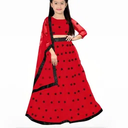 F Plus Fashion Red Net Lehenga Choli-picture-3