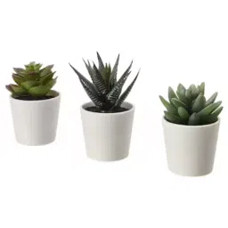 Ikea Fejka Artificial Potted Plant With Pot, In/Outdoor Succulent, 6 cm - Pack of 3 Pcs-image-15