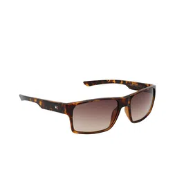 Tommy Hilfiger Men Brown Lens Rectangle Sunglasses with UV Protected Lens TH Neil C2 58 S-13