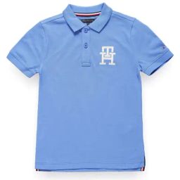 Tommy Hilfiger Blue Spell Regular Fit Polo T-Shirt-image-77