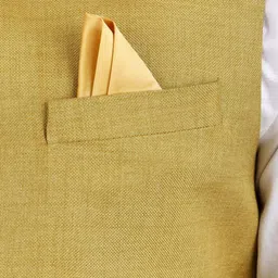 GRACYSHADE Mandarin Collar Jute Nehru Jacket image 2