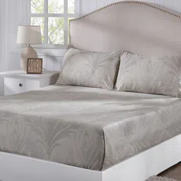 MASPAR Brown Printed Pure Cotton 400 TC King Size Bedsheet & 2 Pillow Cover 2.75 x 2.75 m-image-13