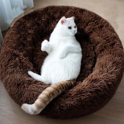 Round donut pet bed Polyester Fibre Animals Sleeping Pillow Pack of 2-image-99