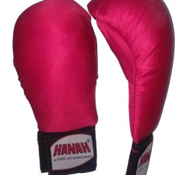 SISFA GLOVES NEW RED Martial Art Gloves-image-38
