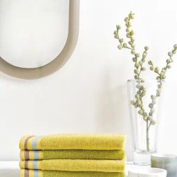 Ddecor 500 GSM Pack of 4 Hand Towel Set For Gifting Multicolor-image-2