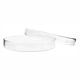 RANDHAWA GLOBAL Borosilicate Glass Petri Dish100 mm Dia with Spout, RG-33402 (Pack of 5 Pcs)-20