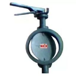 Valson 3 Inch, 80 mm Cast Iron Butterfly Valve-26