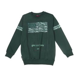 Gini and Jony Boys Graphic Printed Round Neck Cotton Pullover Sweatshirt-image-84