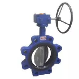 Valson 18 Inch, 450 mm Cast Iron Gear Operated Butterfly Valve-image-34