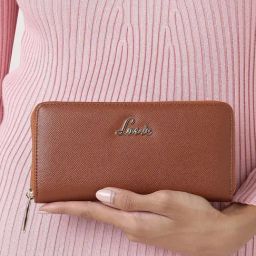 Lavie Brown Solid Zip Around Wallet for Women-picture-14