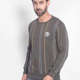 Crimsoune Club Olive Regular Fit Striped Sweatshirt-picture-26