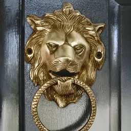StyleMyWay Yellow Brass Textured Main Door Knocker-image-13
