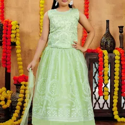 BAESD Girls Embroidered Ready to Wear Lehenga &-picture-31