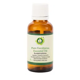 R V Essential Pure Eucalyptus Essential Oil - 10 ml-51
