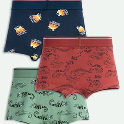 Ariel Cotton Blend Pack Of 3 Dinosaur & Chameleons Printed Trunks - Multi Colour image 3