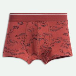 Ariel Cotton Blend Pack Of 3 Dinosaur & Chameleons Printed Trunks - Multi Colour image 4