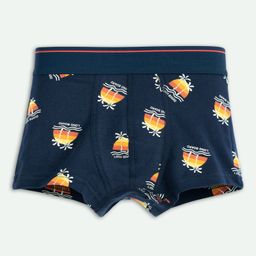 Ariel Cotton Blend Pack Of 3 Dinosaur & Chameleons Printed Trunks - Multi Colour image 5