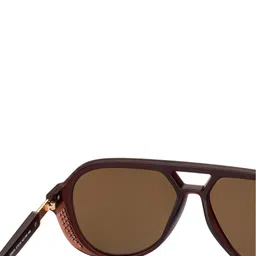 Vincent Chase Unisex Brown Lens & Brown Aviator Sunglasses with image 3