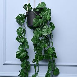 MARKET99 Black Cylindrical Shaped Hanging Planter-18
