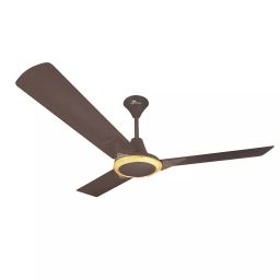 RR Signature JAIPUR AMER Ceiling Fan Ale Brown 1200 mm Sweep 350 RPM-image-95
