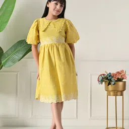 Bella Moda Girls Ethnic Motifs Embroidered Peter Pan Collar Puff Sleeve Fit & Flare Dress-picture-19