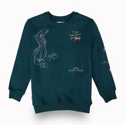 Gini and Jony Boys Graphic Printed Ribbed Cotton Sweatshirt-5