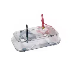 U-Tech 60 x 75 mm Submarine Horizontal Electrophoresis System with Gel Casting Tray SSI-196-33