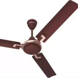 Bajaj Sabse Tezz Deco Wine Red 1200 mm Ceiling Fan 251237-image-38