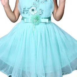 BAESD Net Fit & Flare Dress image 3