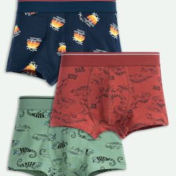 Ariel Cotton Blend Pack Of 3 Dinosaur & Chameleons Printed Trunks - Multi Colour-image-79
