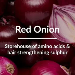Lotus Botanicals Set Of 3 Red Onion Hair Fall Control Shampoo-300ml Each image 5