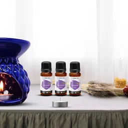 PEEPALCOMM 4-Pcs Blue Aroma Oil Diffuser With Scented Oils - 15 ml Each image 4