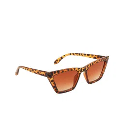 BAYBERRY Unisex Brown Lens & Brown Cateye Sunglasses with-image-42