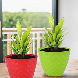 Kuber Industries 6-Pieces Green & Red Textured Planters-16