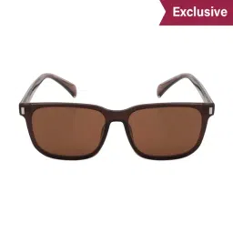 Ted Smith Brown Wayfarer Polarized Unisex Sunglasses-image-43
