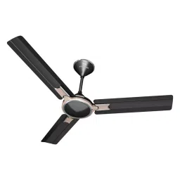 Standard by Havells Ameo Metallic Black 1200 mm Ceiling Fan-image-80