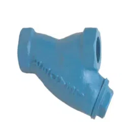 Leader 1 inch, 25 mm G Cast Iron Y-Type Strainer, BM 076-image-72
