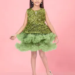 BAESD Net A-Line Dress-2