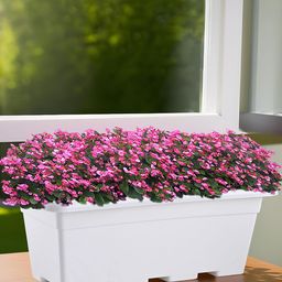 Kuber Industries White Rectangle Shaped Jupiter Gamla Window Planters-43