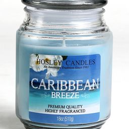 Hosley Caribbean Breeze Fragrance Jar Candle - 1120 g-6