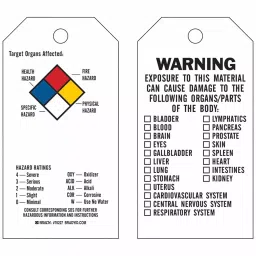 BRADY Black Blue Red Yellow Rectangle Tag 5-3/4 inch, 8DH10 (Pack of 25)-58