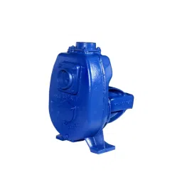 Kirloskar 20 HP Three Phase Self Priming Monoblock Pump - SP-6LA-picture-16